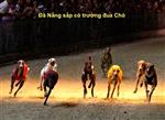 Đà Nẵng sẽ có trường đua ngựa đua chó rộng hơn 500000m2 tại Cẩm Lệ